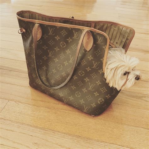 puppy louis vuitton backpack|For Pets Collection for New .